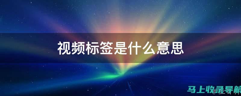 视频标签的重要性及其在SEO中的应用策略