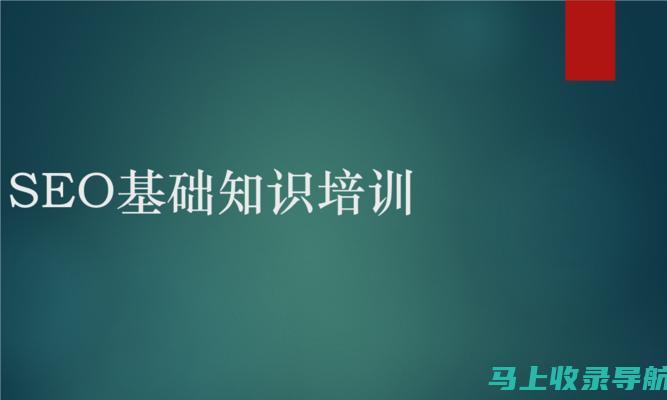 SEO新手入门：从零开始学习搜索引擎优化